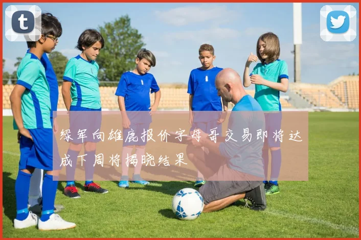 绿军向雄鹿报价字母哥交易即将达成下周将揭晓结果