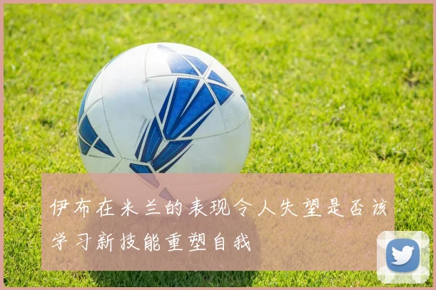 伊布在米兰的表现令人失望是否该学习新技能重塑自我