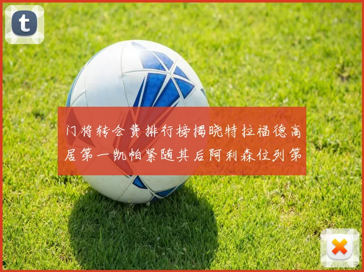 门将转会费排行榜揭晓特拉福德高居第一凯帕紧随其后阿利森位列第三