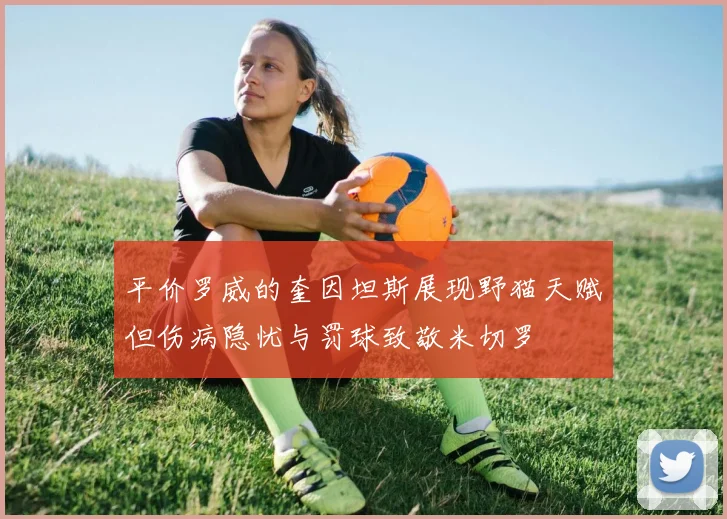 平价罗威的奎因坦斯展现野猫天赋但伤病隐忧与罚球致敬米切罗
